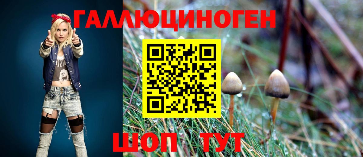 Выкса  Псилоцибиновые грибы прущие грибы  Вход с VPN  Галлюциногенные грибы ЛСД 